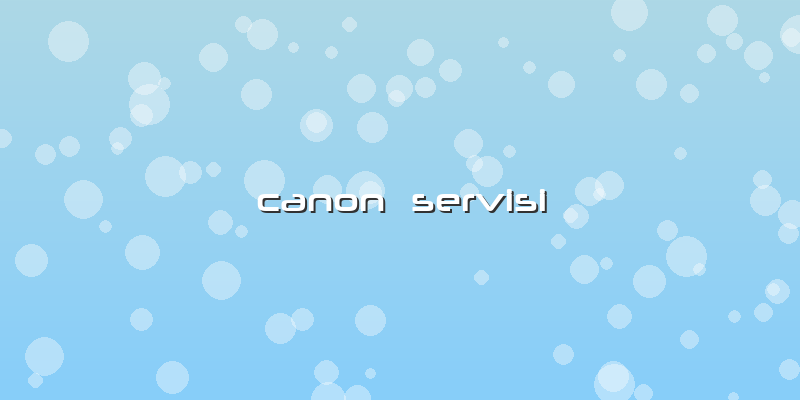 Canon  Servisi