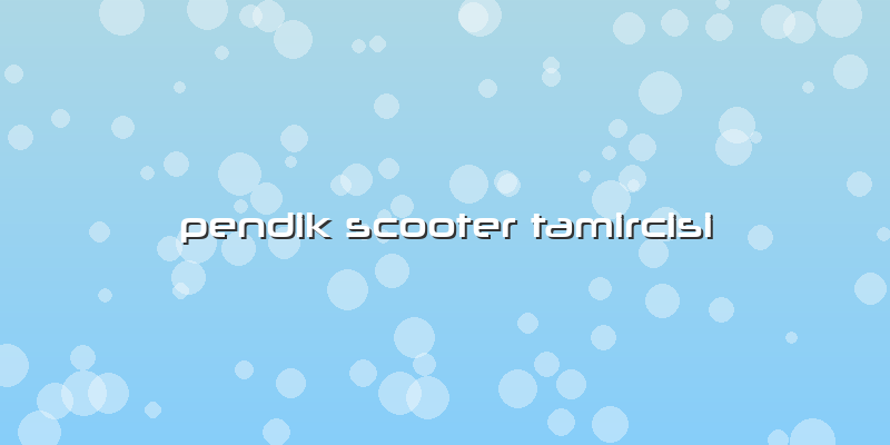 Pendik Scooter Tamircisi