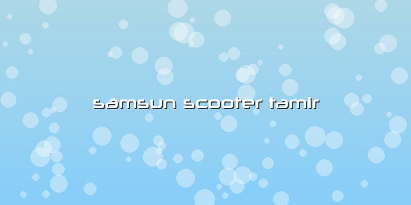 Samsun Scooter Tamir