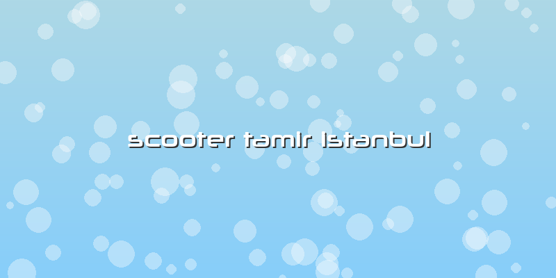 Scooter Tamir Istanbul